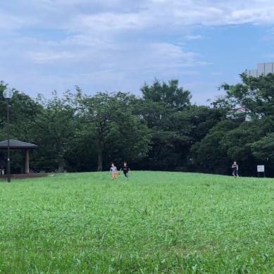 0144FC21-868B-4132-A6B1-72DFCF0F52AA