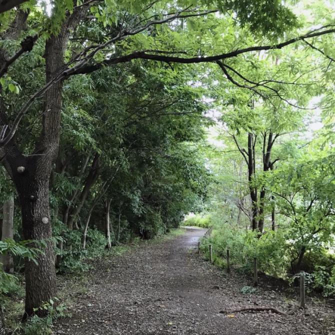 2F8B514D-44A3-4736-BC22-5D0445D0E6E8 - Moe TAKEMATA