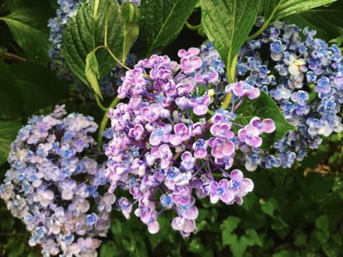 32FA1571-AB51-4FA3-9CD9-89CF863570F3 - Moe TAKEMATA