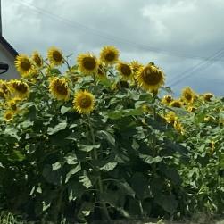 4CB60FCB-C072-43E0-9C06-0DC90AAE58B8