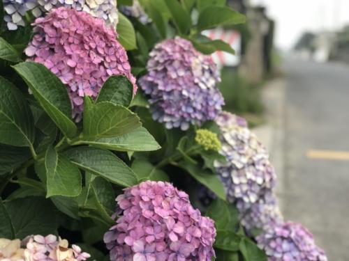 6E74836D-D726-47D7-A887-161DF6F5E0E0 - Kodai MAEDA