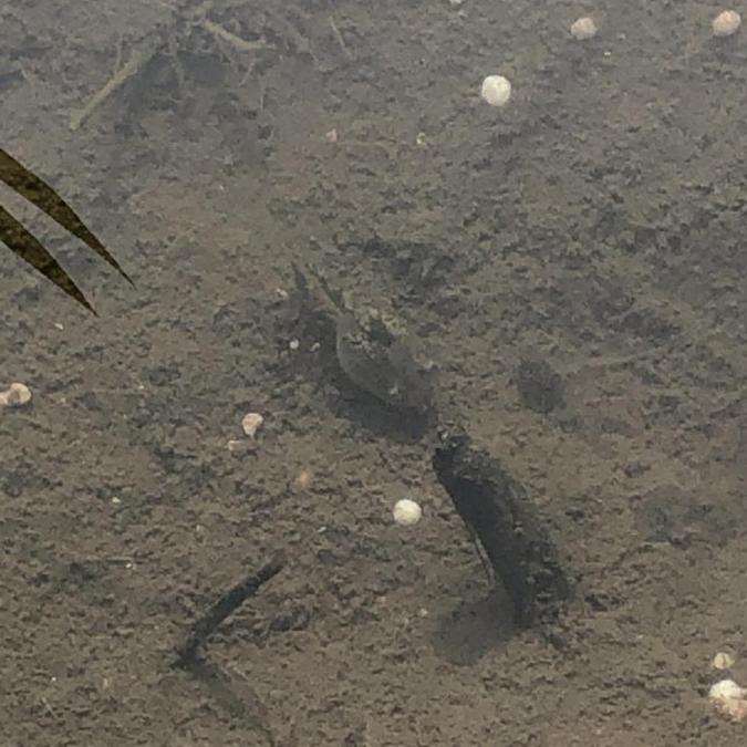 FDB1F851-B84E-4E93-A69D-18D2FF6ABAA5 - Rina ISHII