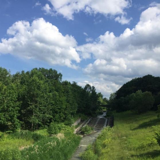 IMG 0230 - Sayaka KANI