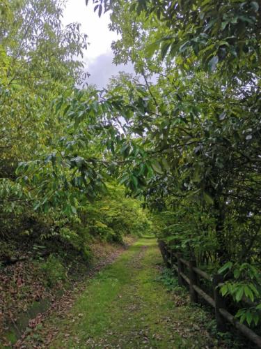 IMG 20200625 163814 - Kaito SATO