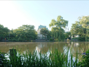 Screenshot 20200702-150331